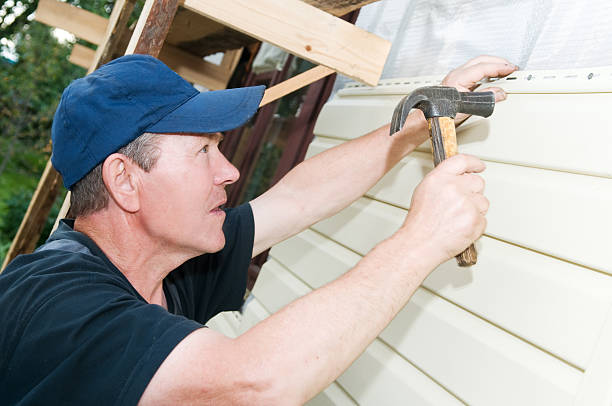 Best Vinyl Siding Installation  in Pocahontas, IA