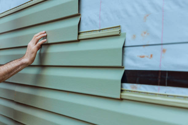 Best Siding Removal and Disposal  in Pocahontas, IA